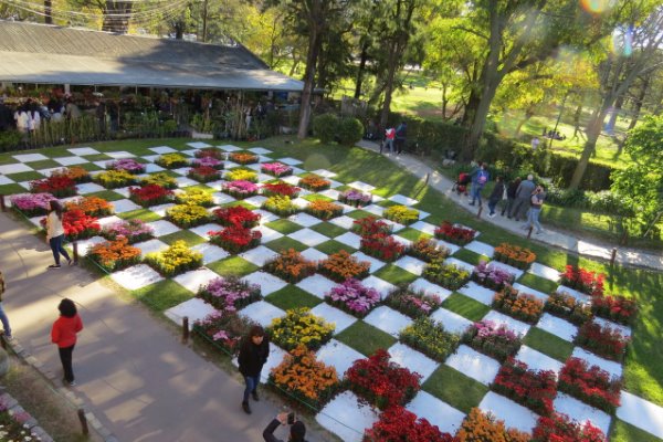 Paseo por el Jardín Japonés. Imperdible, consulta en tu Sede.-0